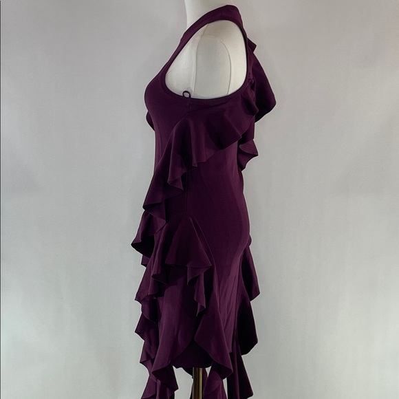 SIMKHAI Wilda Ruffle Dress, XS - Picture 13 of 13